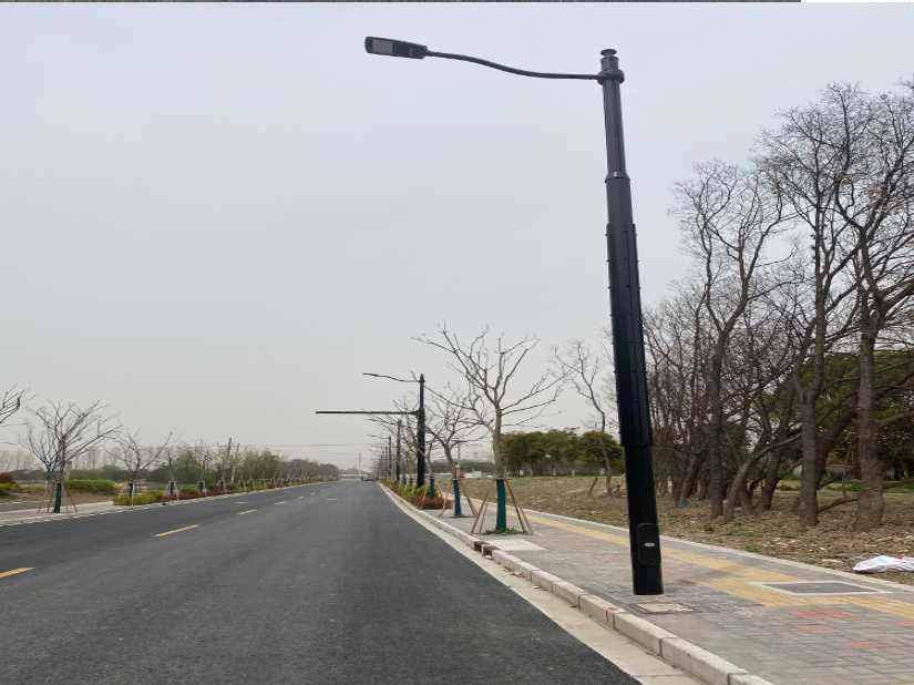 江州区上海综合杆 太阳能路灯工程